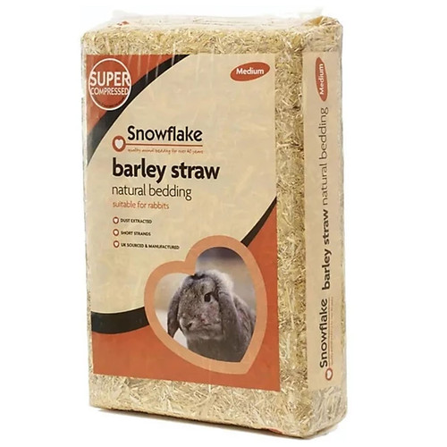 Snowflake medium compressed - medium,