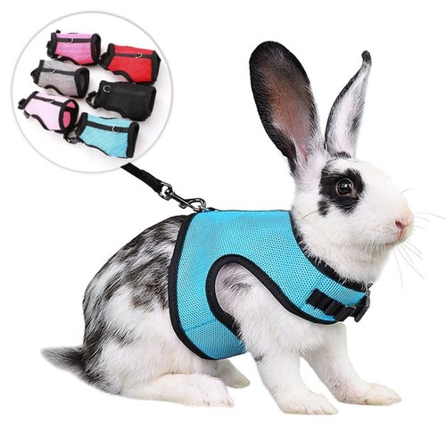Rabbit harness and - harness,