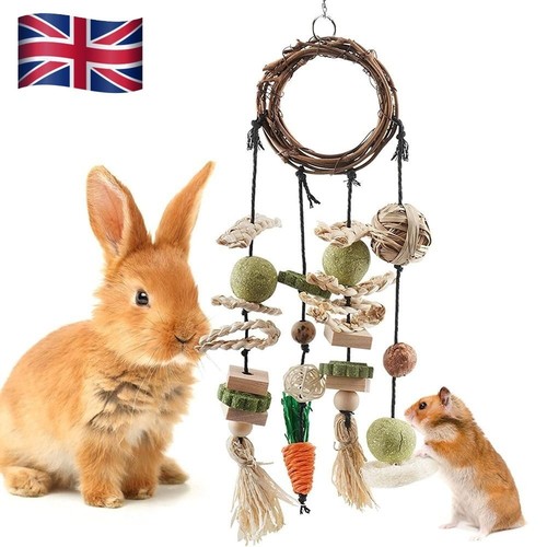 Rabbit treats rabbits - rabbits, cage