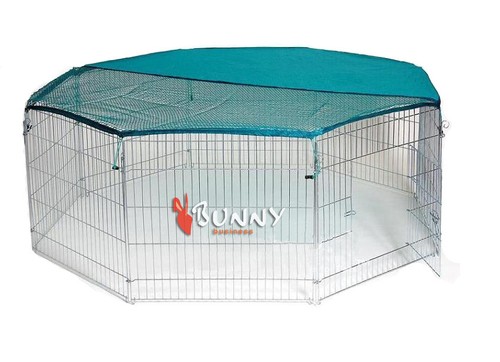 Rabbit run pet - rabbit,
