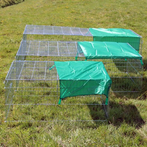 Metal run chicken - metal, rabbit