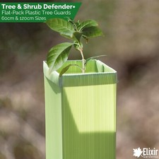 Tree Guards | Sapling & Shrub