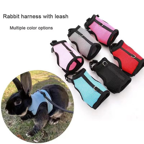 Harness with leash set - leash,