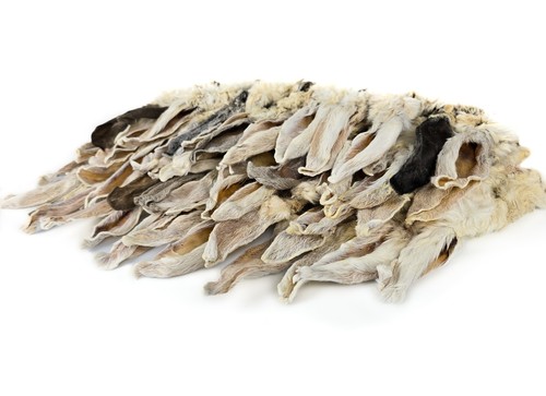 Herons rabbit ears with fur - herons,
