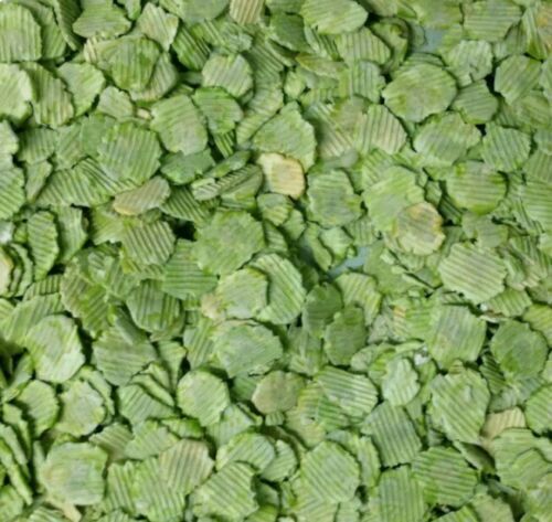 Micronized flaked peas dried - flaked,